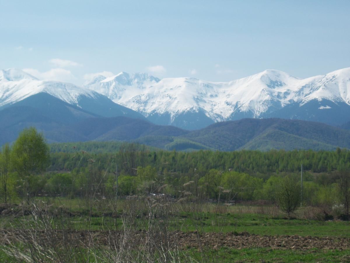 Гостевой дом La Curtea Porumbaceana Порумбаку-де-Сус-41